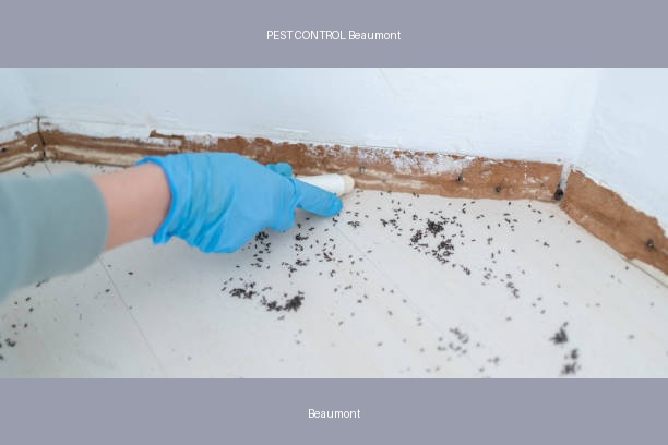 PEST CONTROL Beaumont